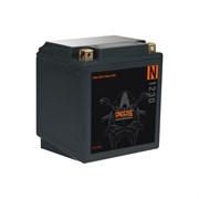 Аккумулятор DELTA N 1230 YTX30HL-BS, YTX30L-B, YTX30L AKB4540