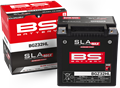 BS Battery SLA MAX BGZ32HL YIX30HL 32.0 Ah 500A AKB4443